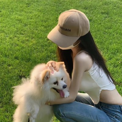 派特森与芬达猫4 在线观看封面