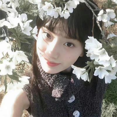 清明上河图 在线观看封面